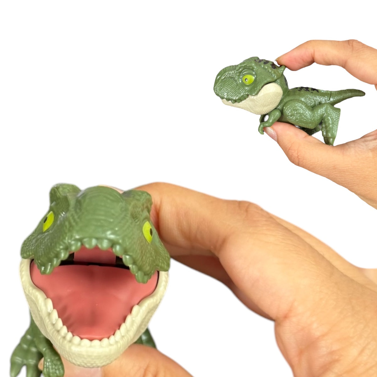 5 Dinosaurio Mordelon