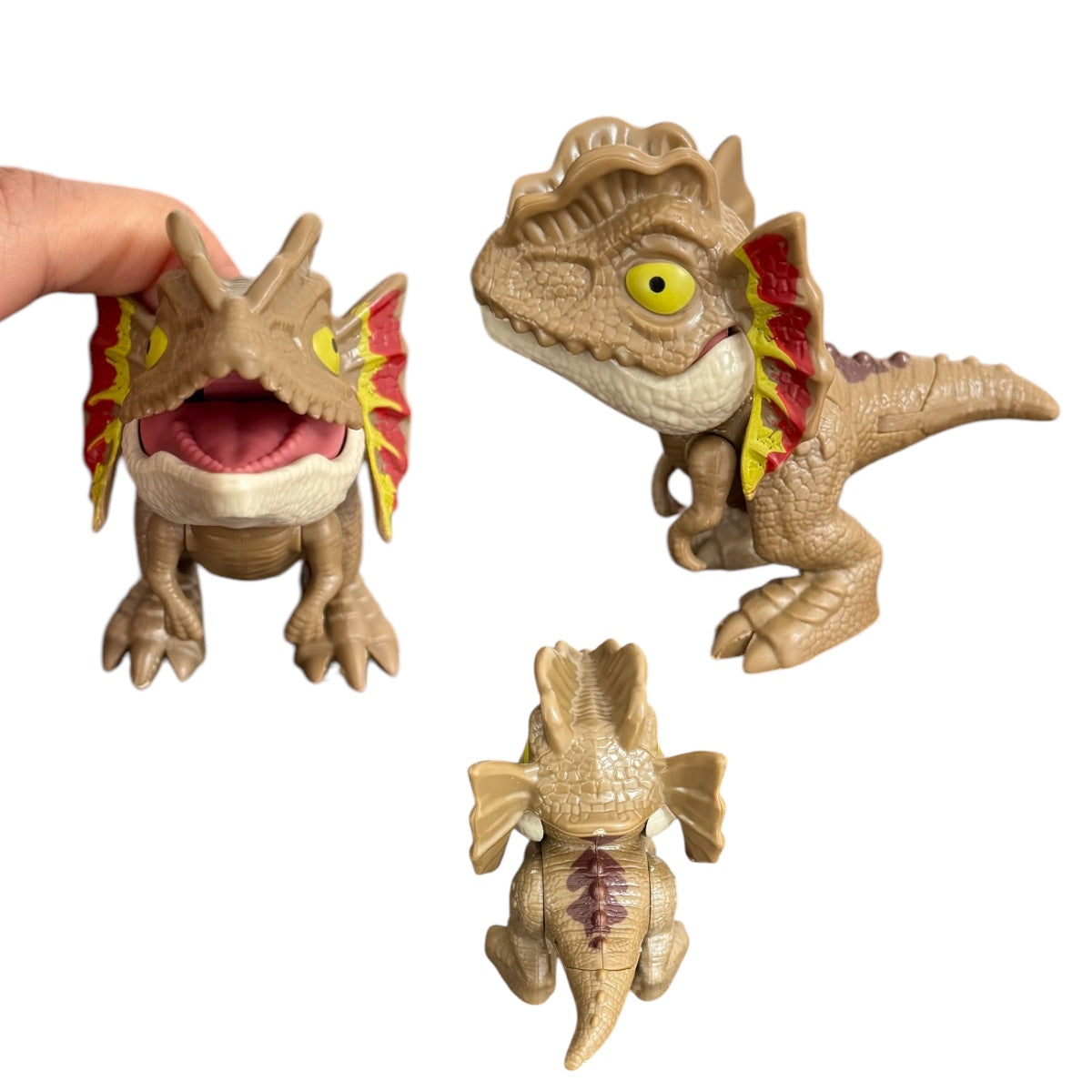 5 Dinosaurio Mordelon