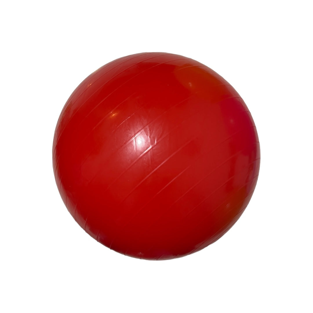 Pelota Jumbo 50cm