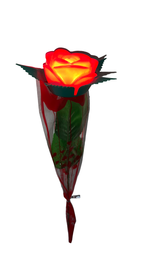 5 Rosa Luz