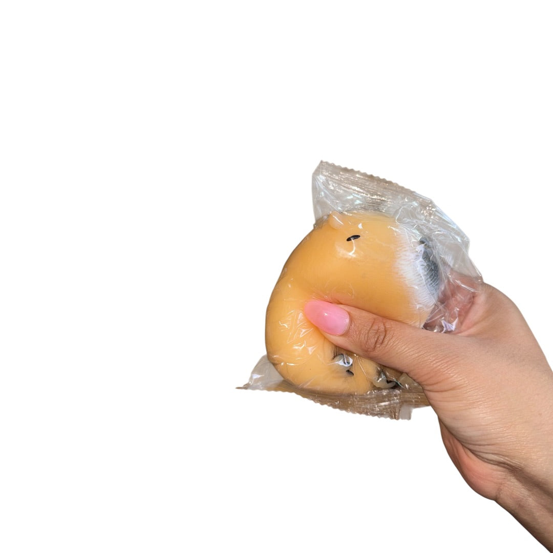 Squishy Capibara Harina Juguete